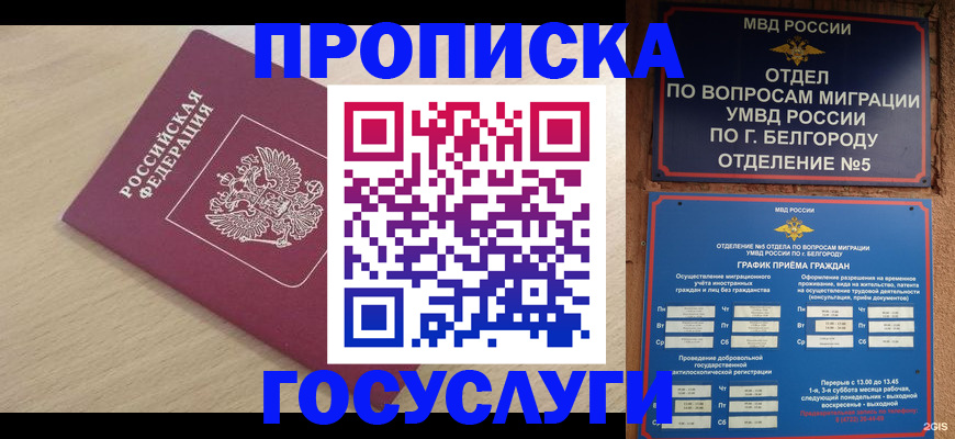 прописка законно в Заволжье